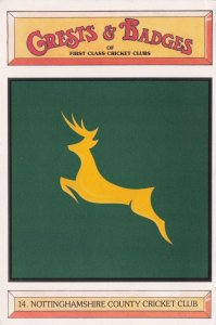 Nottinghamshire Cricket Club Crest Shield Postcard