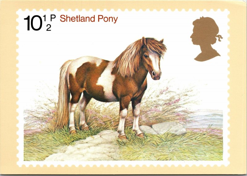 VINTAGE CONTINENTAL SIZE POSTCARD UK SHETLAND PONY ON POST OFFICE CARD 1978