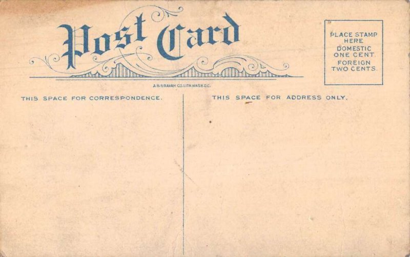 Old Point Comfort Virginia Steamer Southland Vintage Postcard AA18850