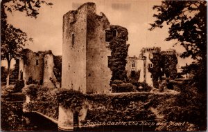 The Moat, Raglan Castle RAGLAN  Monmouthshire Wales UK vtg Postcard