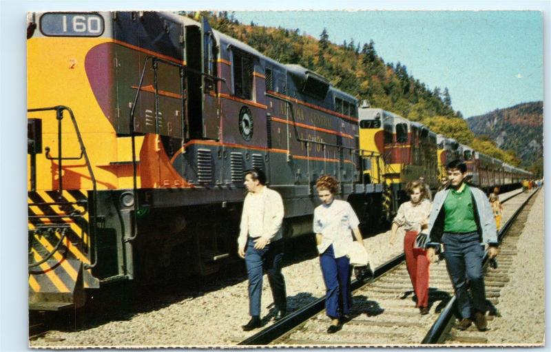 Agawa Canyon Wilderness Train Tour Algoma Central Passenger Train Postcard D36