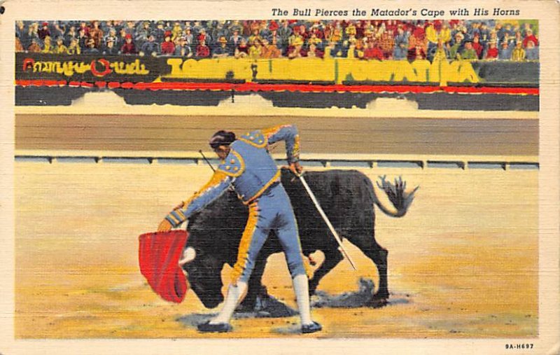 The Bull Pierces the Matador's Cape with His Horns Tarjeta Postal Bullfightin...