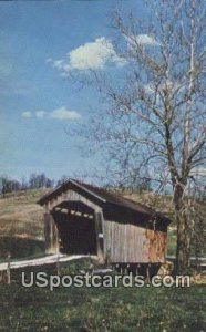 By An Old Sycamore - Noble County, Ohio