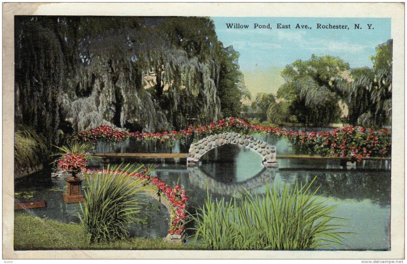 Willow Pond, East Avenue, Rochester, New York, PU-1927