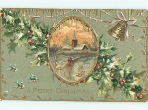Divided-Back CHRISTMAS BIRDS SCENE Pretty Postcard W8496