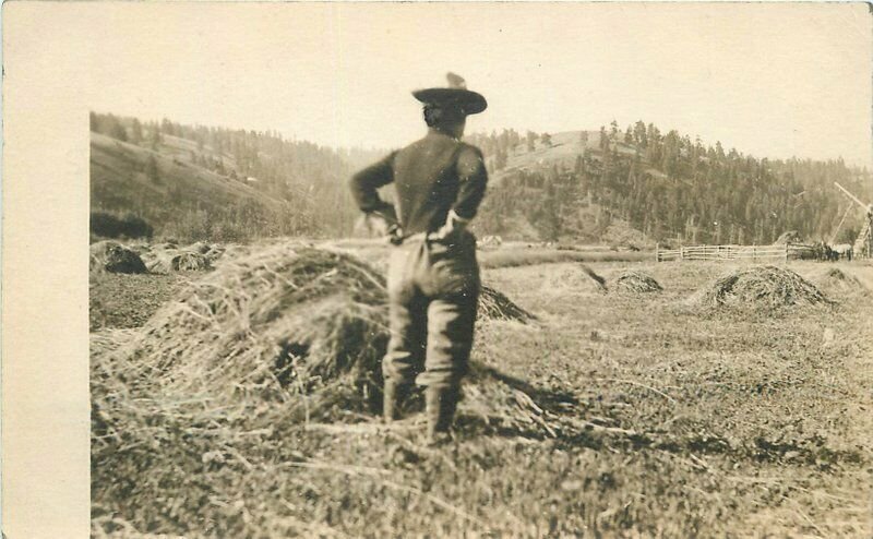 Agriculture farmer viewing field of crops C-1910 RPPC Photo Postcard 21-9666