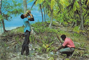 Puerto Rico Puerto Rico, Agua De Coco