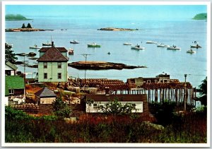 The Working Fishing Village Of Stonington Maine Stonington Maine ME Postcard 