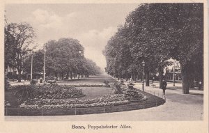 Bonn Poppelsdorf Allee Antique German Postcard