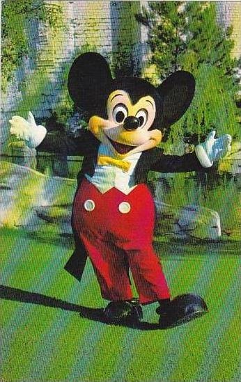 Florida Walt Disney World Welcome Mickey Mouse Has Been The Symbol Of Disney ...