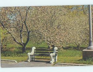 Pre-1980 BLOSSOMS AT HEALTH RESORT Denville By Parsippany-Troy Hills NJ c4594@