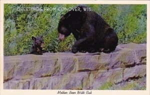 Greetings From Conover Wisconsin Mother Bear With Cub 1981