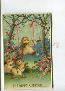 471916 EASTER Dressed Chicken on Swing GOLDEN SUN postcard 1910 year Embossed