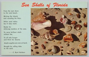 State View~Various Sea Shells Of Florida & Poem By C Byrd Harbour~Vintage PC