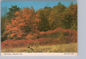 Fall Colours, Rural Scene, Hamilton, Ontario, Chrome Postcard