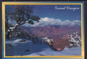 Grand Canyon in Winter,AZ BIN