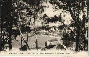 CPA TREGASTEL La Plage a Travers les Pins du Bois d'Amour (1165955)