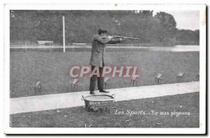 Old Postcard Pigeon Shooting