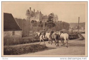 Horses, Chateau De Pierrefonds, Cote Est, Oise, France, 1900-1910s