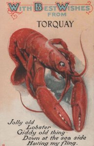 Torquay Lobster Crab Seafood Fish Devn Old Mailing Novelty Postcard