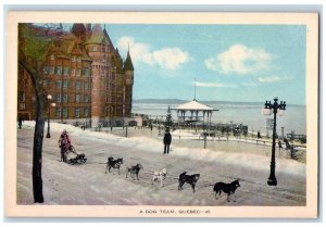 c1940's Building Icy Scene A Dog Team Sleigh Quebec Canada Vintage Postcard