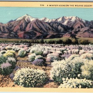 1931 Mojave Desert Winter Scene, Linen Western Publishing Los Angeles Teich A218