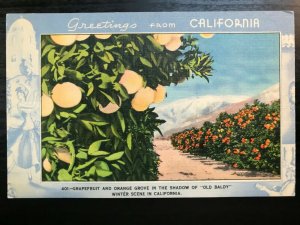 Vintage Postcard 1930-1945 Greetings from California (CA)