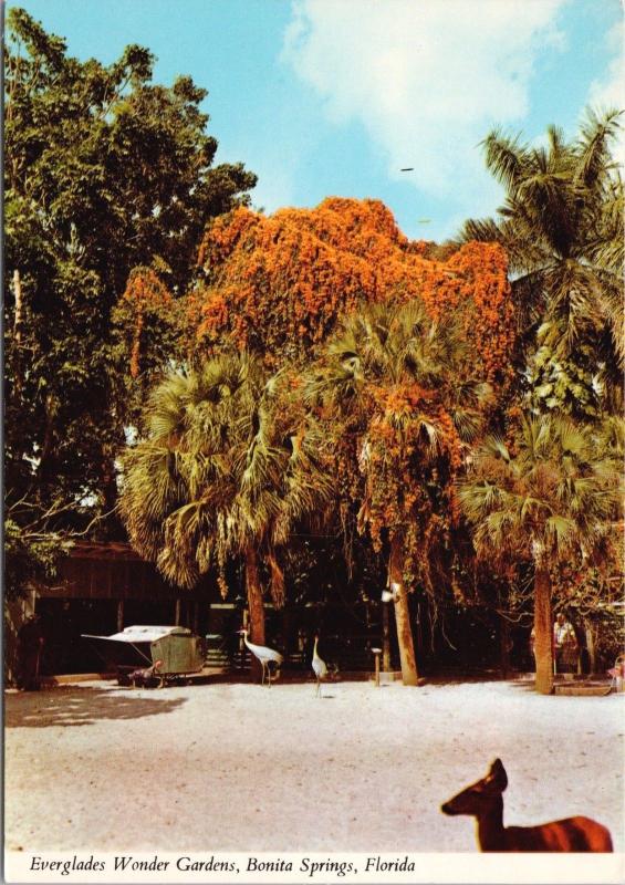Everglades Wonder Gardens Bonita Springs FL Florida Unused Postcard D54