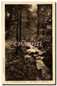 Old Postcard Putanges Cascade Sous Bois