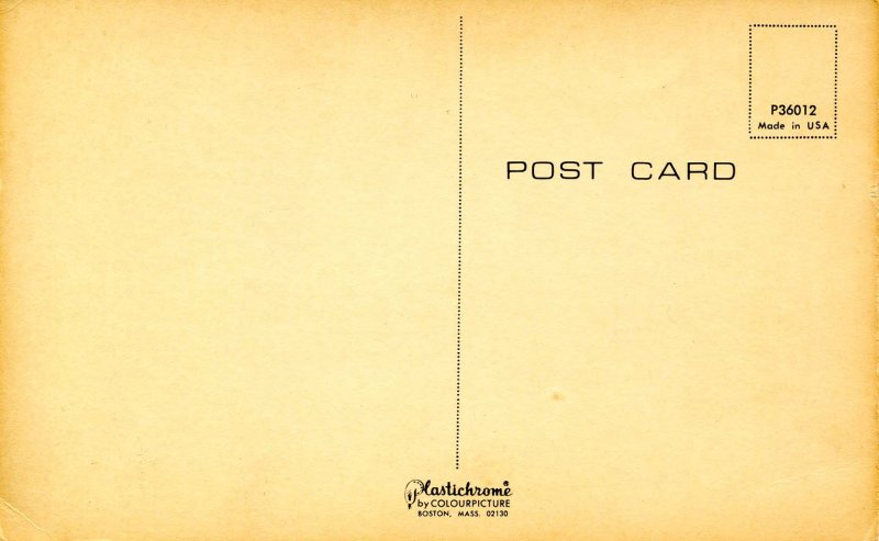 Fishing - Liars Permit, Fishing License