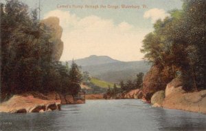 Waterbury Vermont Camel's Hump Vintage Postcard JG236778