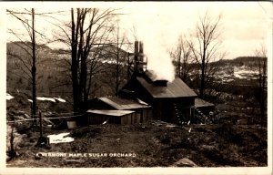 Vintage Photograph For Postcard RPPC Maple Sugar Orchard Vermont