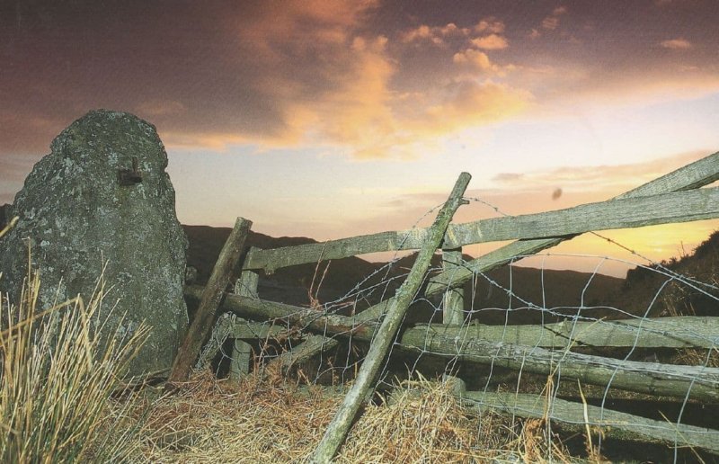 Welsh Broken Barbed Wire Gate Fence Pen Caneg Copa Postcard