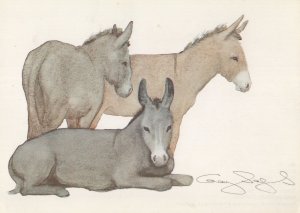 Gay Sugar Fenton Donkeys St Ives Cornwall Painting Postcard