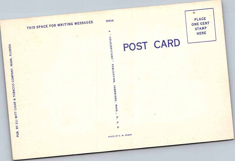 Postcard BUILDING SCENE Miami Beach Florida FL AN9758