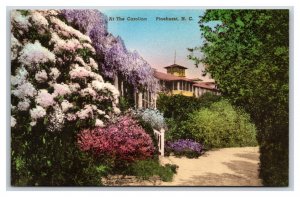 Carolina Hotel Garden Pinehurst NC UNP Hand Colored Albertype Postcard W17