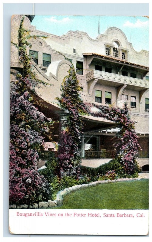 c1910 Bouganvilla Vines Potter Hotel, Santa Barbara, Cal. Postcard F81E