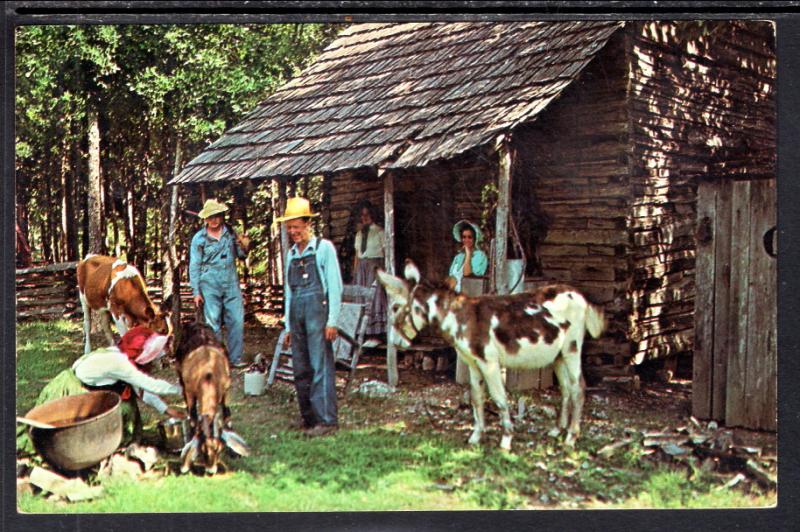 Uncle Willie's Cabin,Bull Shoals,AR BIN