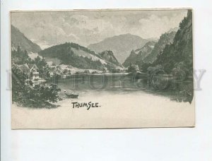 3172501 GERMANY THUMSEE Vintage postcard