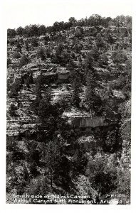 RPPC Postcard  Arizona South Side of Walnut Canyon 1950s