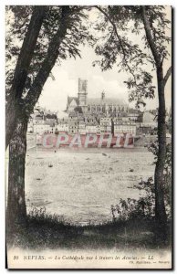 Old Postcard Nevers Cathedral View a Travers les Acacias