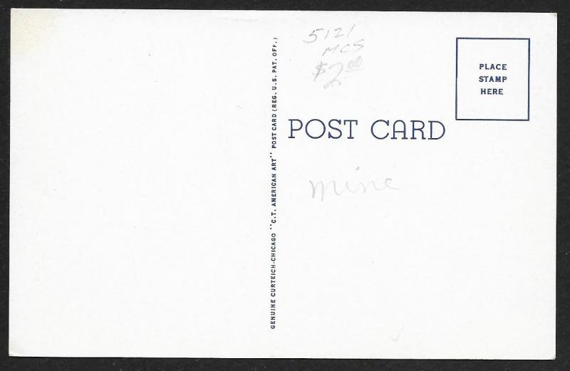 Strother Camellia Gardens Fort Valley Georgia Unused c1953