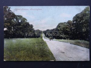 Buckingham STOWE AVENUE c1905 Postcard by Valentine