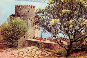 Lot343 rumeli hisari on the european shore of bosphorus  istanbul turkey