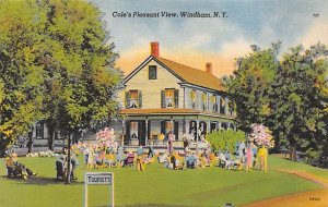 Coles Pleasant View Windham, New York NY s 