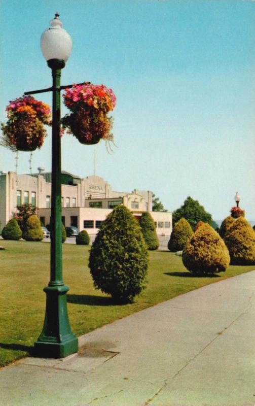 Queen's Park New Westminster BC Arena Hanging Basket Flowers Unused Postcard D63