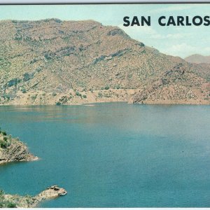 c1960s Globe / Safford, AZ San Carlos Lake Gila Coolidge Dam Record Catfish A305