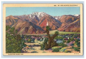 Vintage Mt San Jacinto California Postcard P158E