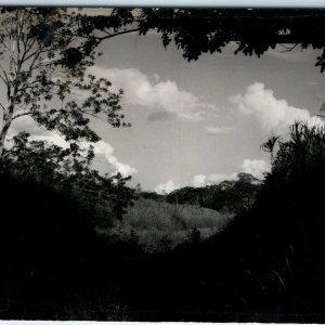 c1940s Iquitos Peru Scenic Nature RPPC Real Photo Foto Antonio Wong Rengifo A327