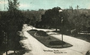 Vintage Postcard Bradley Park Grounds Street View Trees Peoria Illinois ILL